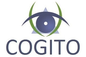 cogitotorun.pl